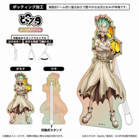 『Dr.STONE』どこスタ(オーロラver.)/石神千空